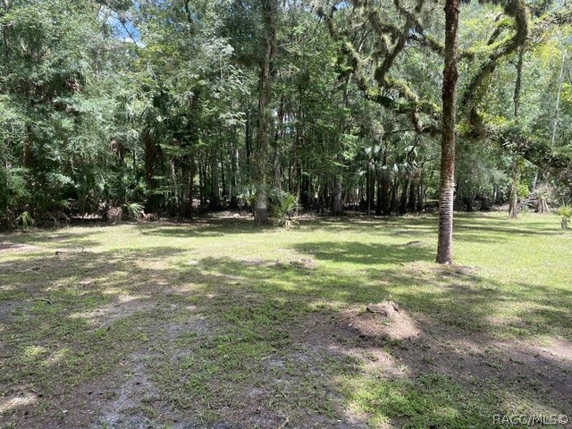 6409 East River Road Hernando, FL 34442 - Photo 7 of 50 Gallery Image 7