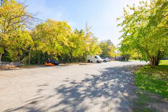 a view of a park with large trees