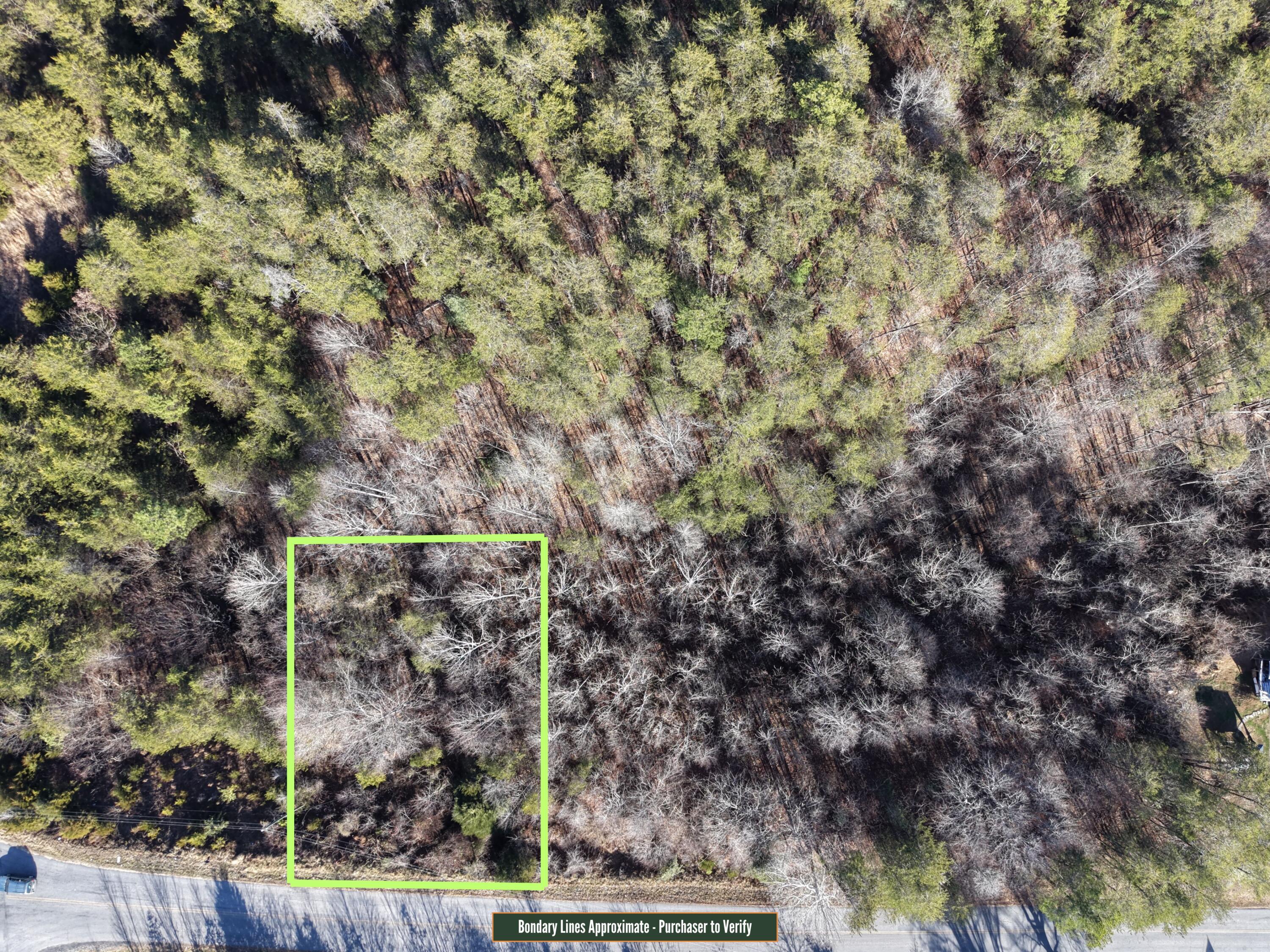 Lot 11 A Pine Valley Road Bassett, VA 24055 - Photo 2 of 3 a view of a yard with wooden wall