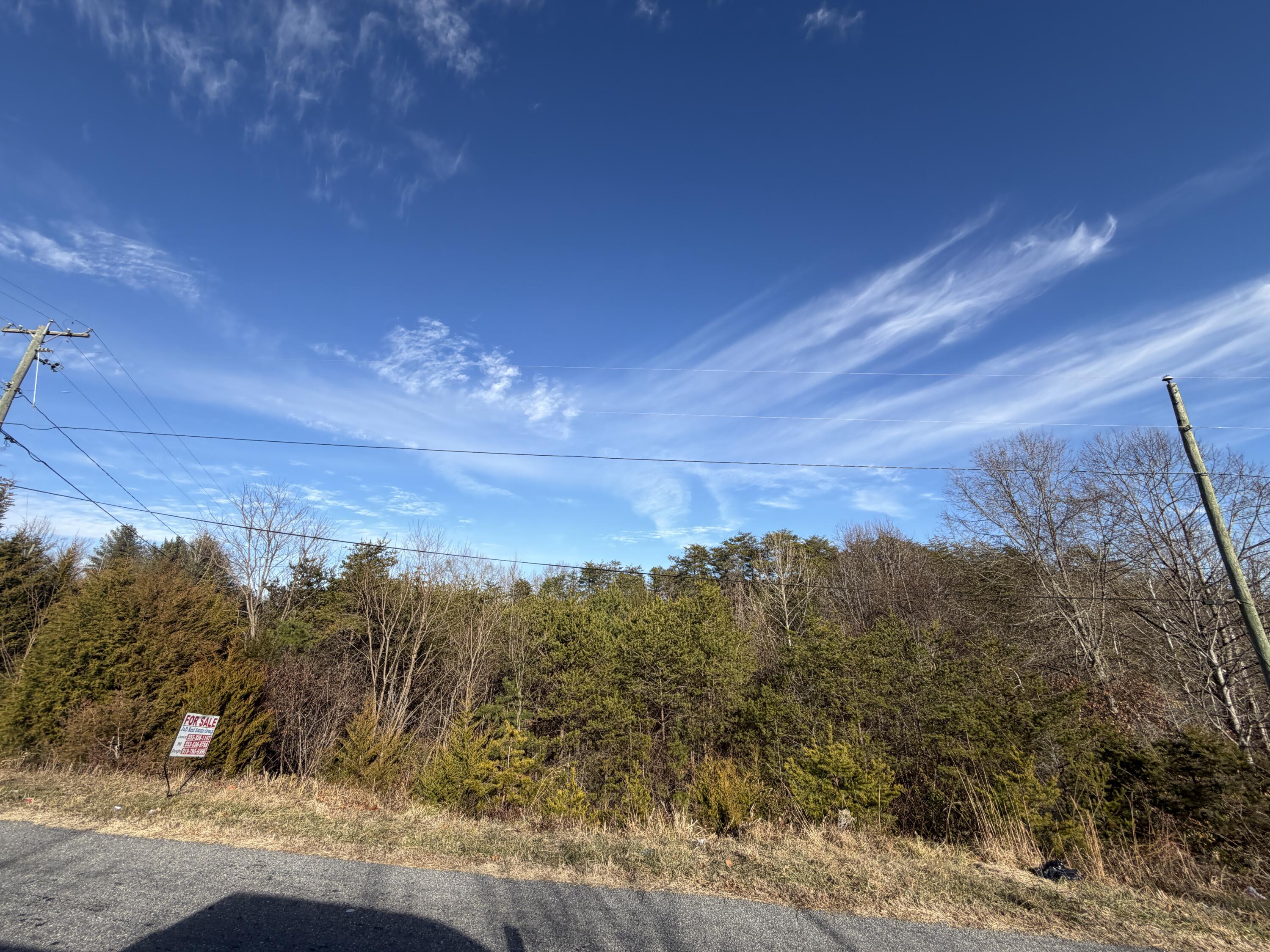Lot 11 A Pine Valley Road Bassett, VA 24055 - Photo 3 of 3 a view of a mountain