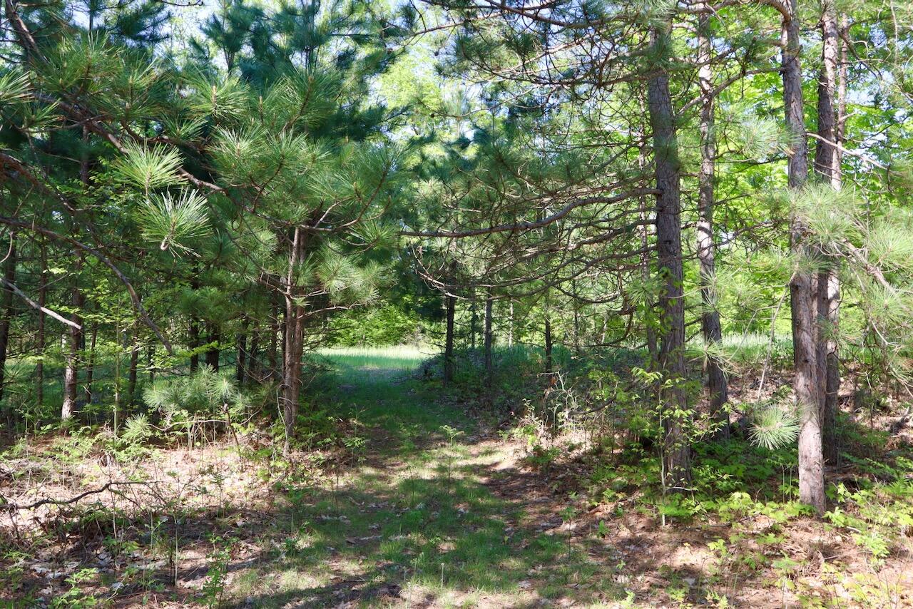 11547 1 Mile Road Leroy, MI 49655 - Photo 60 of 73 49_