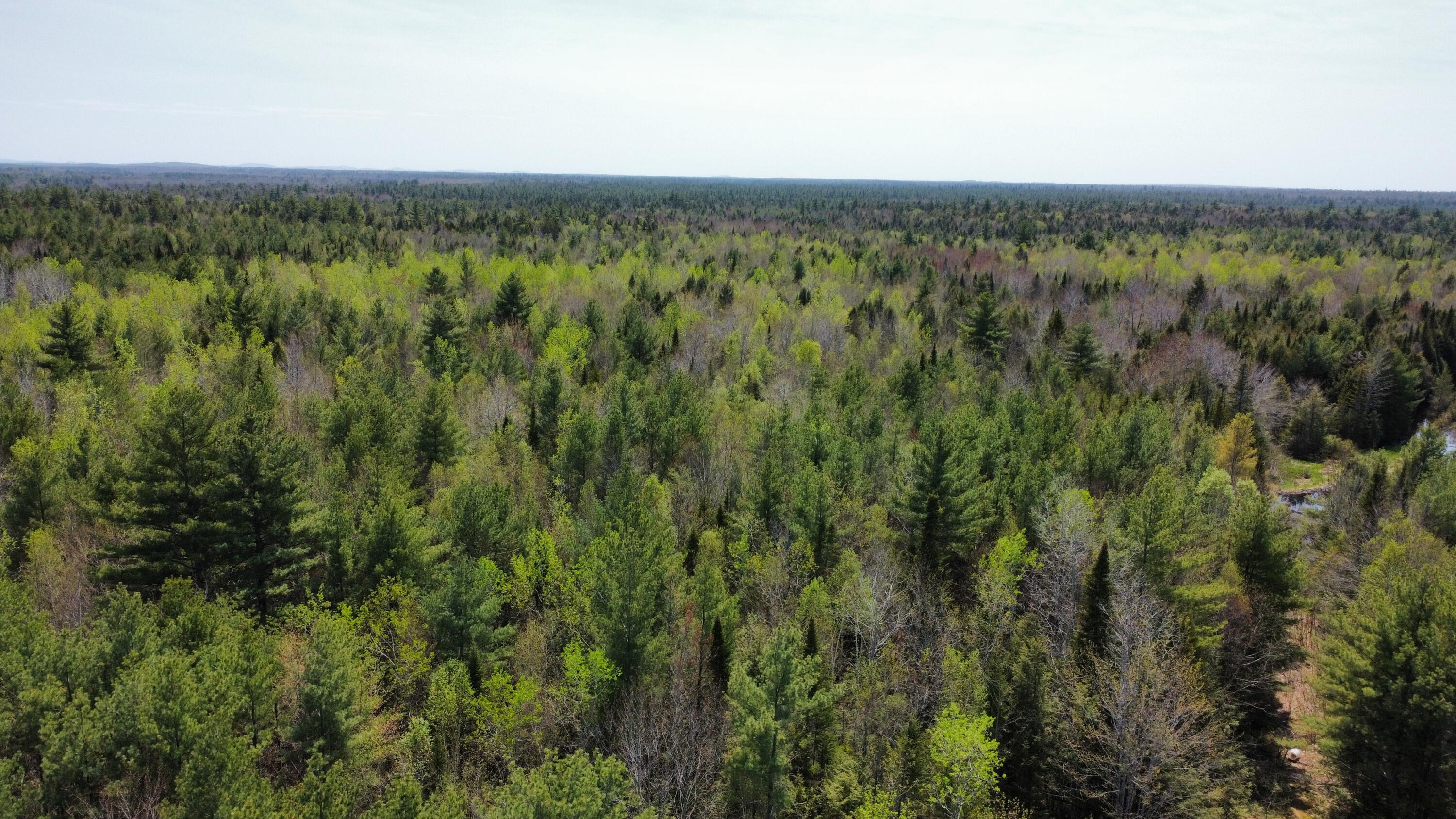 64 Pipeline Road Howland, ME 04448 - Photo 1 of 21 Aerial