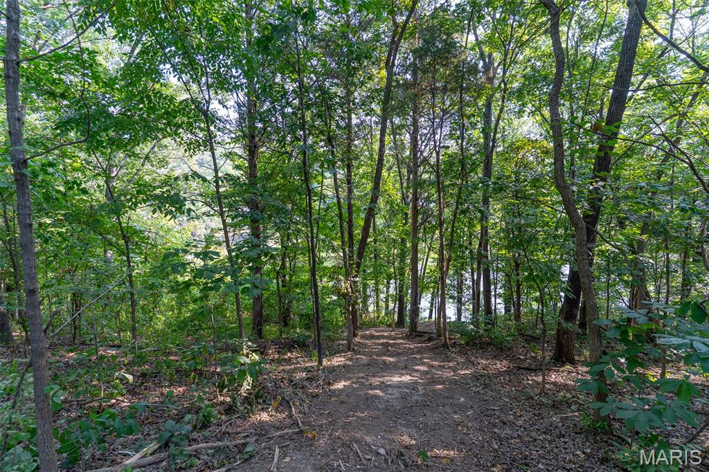 4413 Arrowhead Ridge Lane Augusta, MO 63332 - Photo 6 of 23