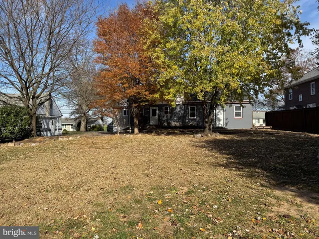 a view of a yard with plants and trees