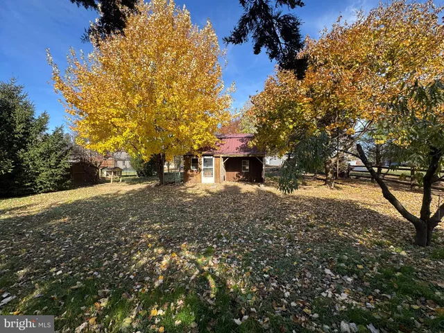 a view of a house with backyard and tree