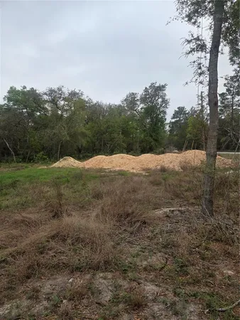 $38,000 | 127 Sequoia Trail, Ocklawaha, FL 32179