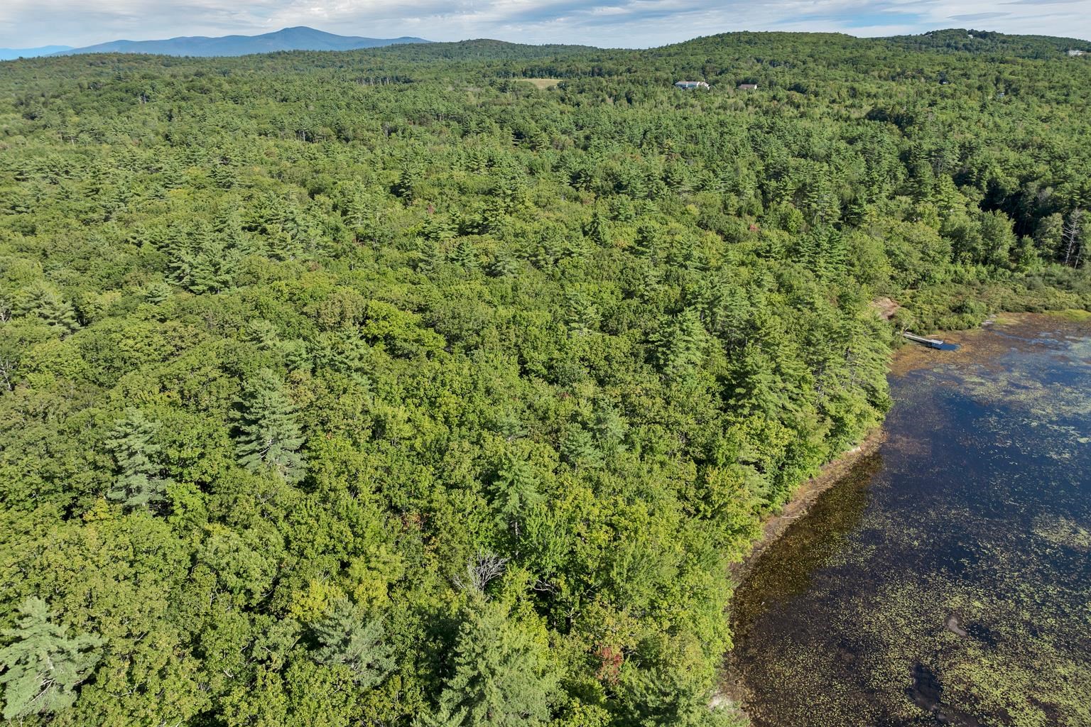 0 Beach Pond Road Wolfeboro, NH 03894 - Photo 10 of 23