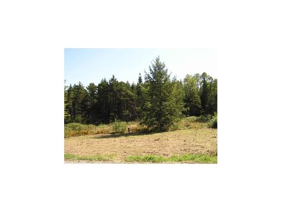 Richard Woolcot Road Wolcott, VT 05680 - Photo 1 of 1