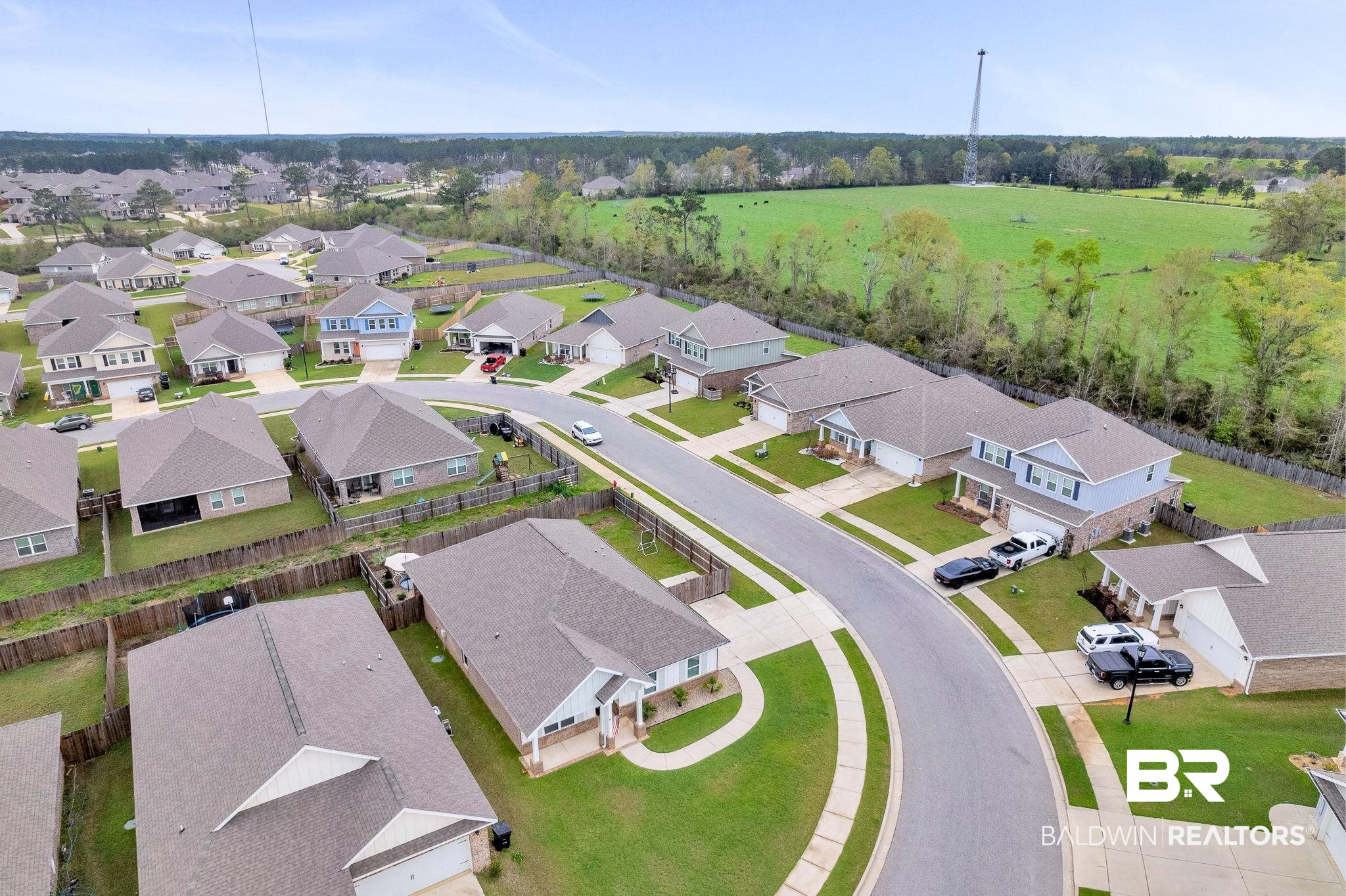 31650 Memphis Loop Daphne, AL 36527 - Photo 64 of 68 Aerial view of residential area