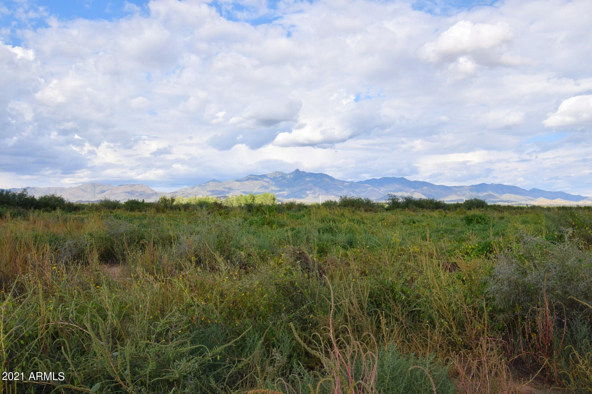 6768 South Wayward Winds Road Willcox, AZ 85643 - Photo 20 of 22 Mountain Views