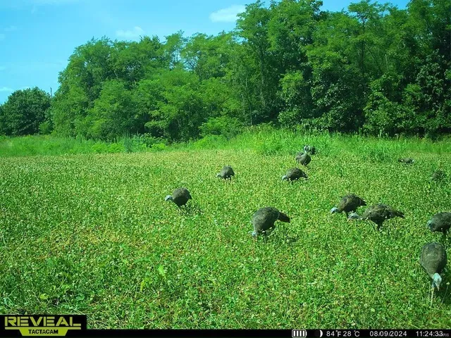 $369,750 | 0 Osage Drive, New London, MO 63459