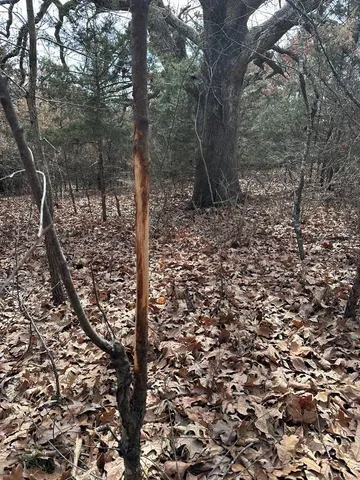 $369,750 | 0 Osage Drive, New London, MO 63459