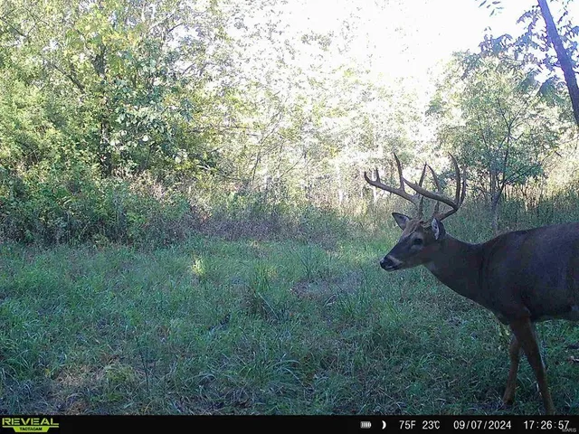 $369,750 | 0 Osage Drive, New London, MO 63459