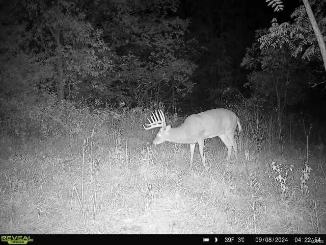 $369,750 | 0 Osage Drive, New London, MO 63459