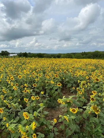 $369,750 | 0 Osage Drive, New London, MO 63459