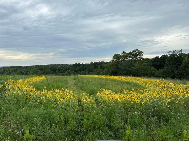 $369,750 | 0 Osage Drive, New London, MO 63459