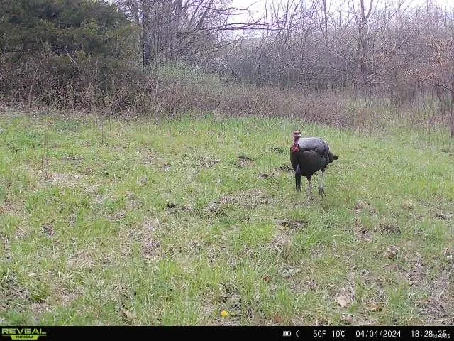 $369,750 | 0 Osage Drive, New London, MO 63459