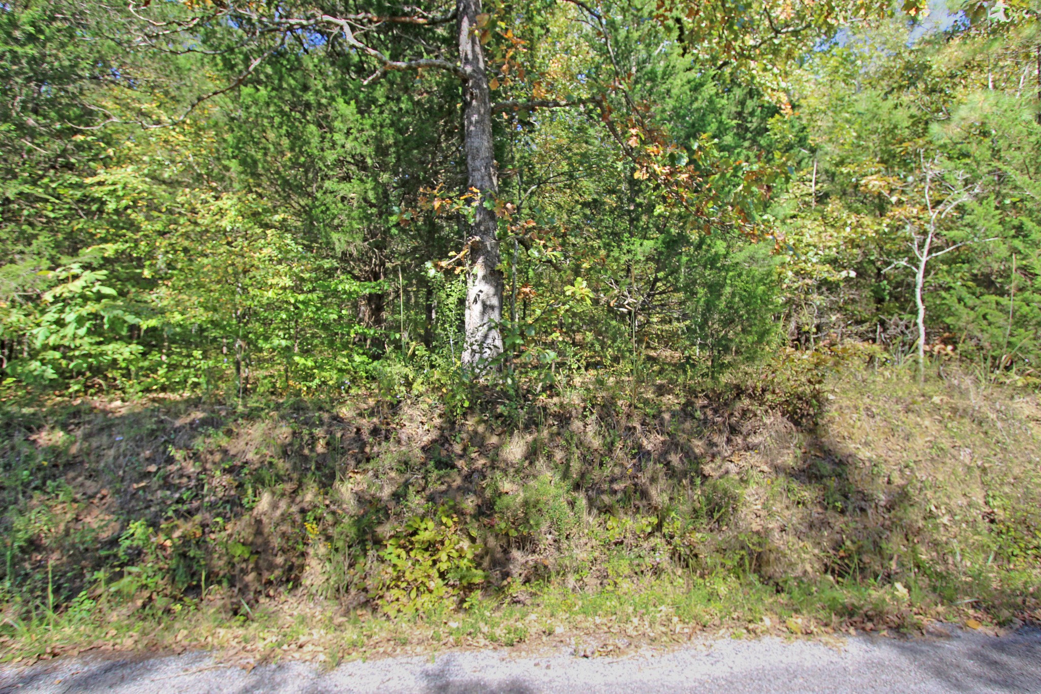2 Melton Springs Road Dover, TN 37058 - Photo 3 of 8 Gallery Image 3