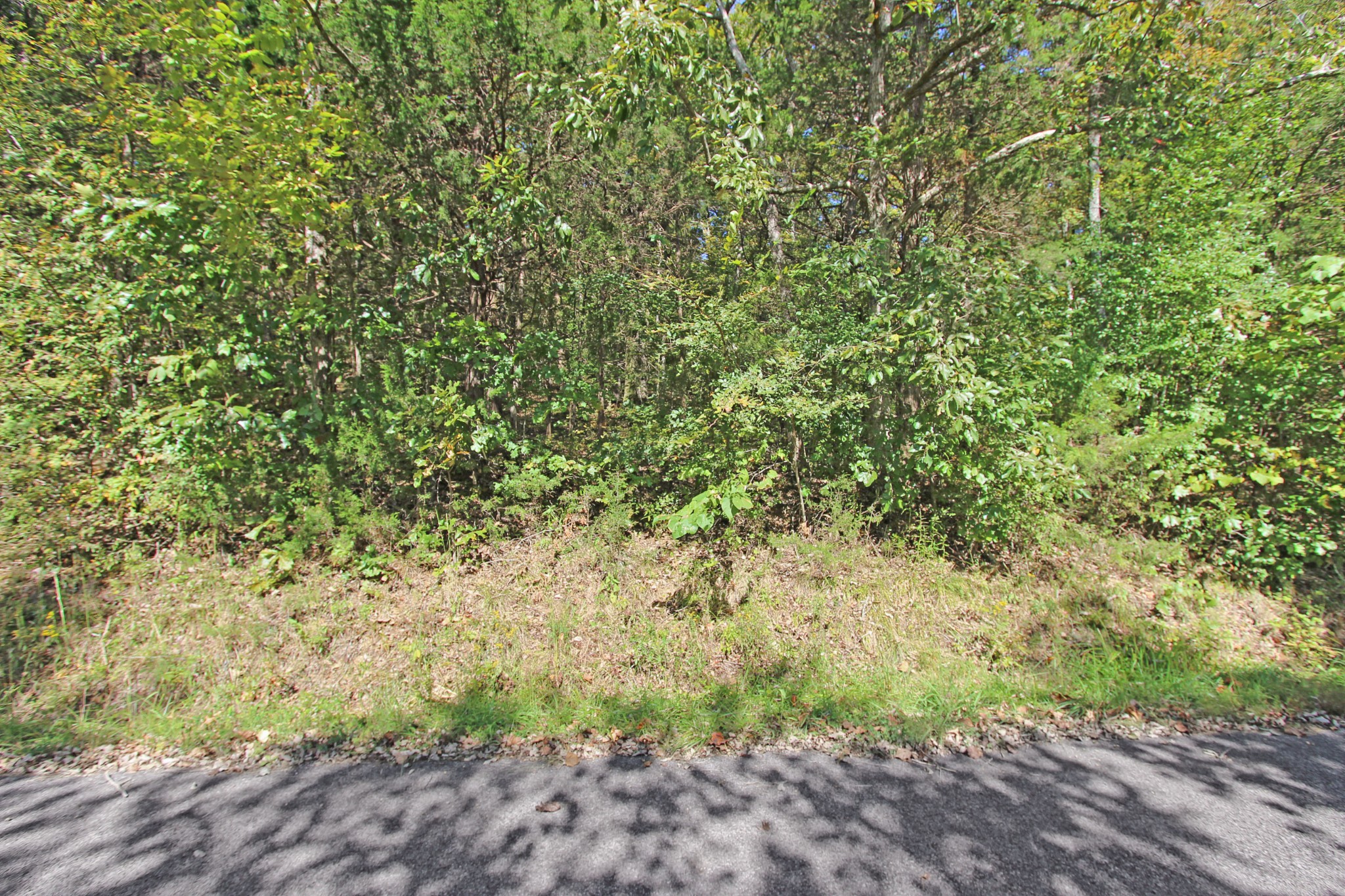 2 Melton Springs Road Dover, TN 37058 - Photo 5 of 8 Gallery Image 5