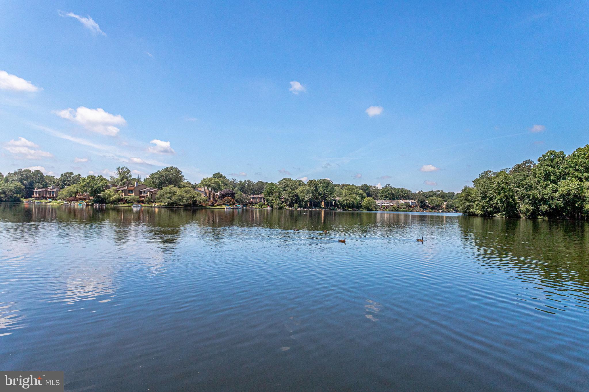 11222 Harbor Court Reston, VA 20191 - Photo 46 of 58 You Will Never Want to Leave