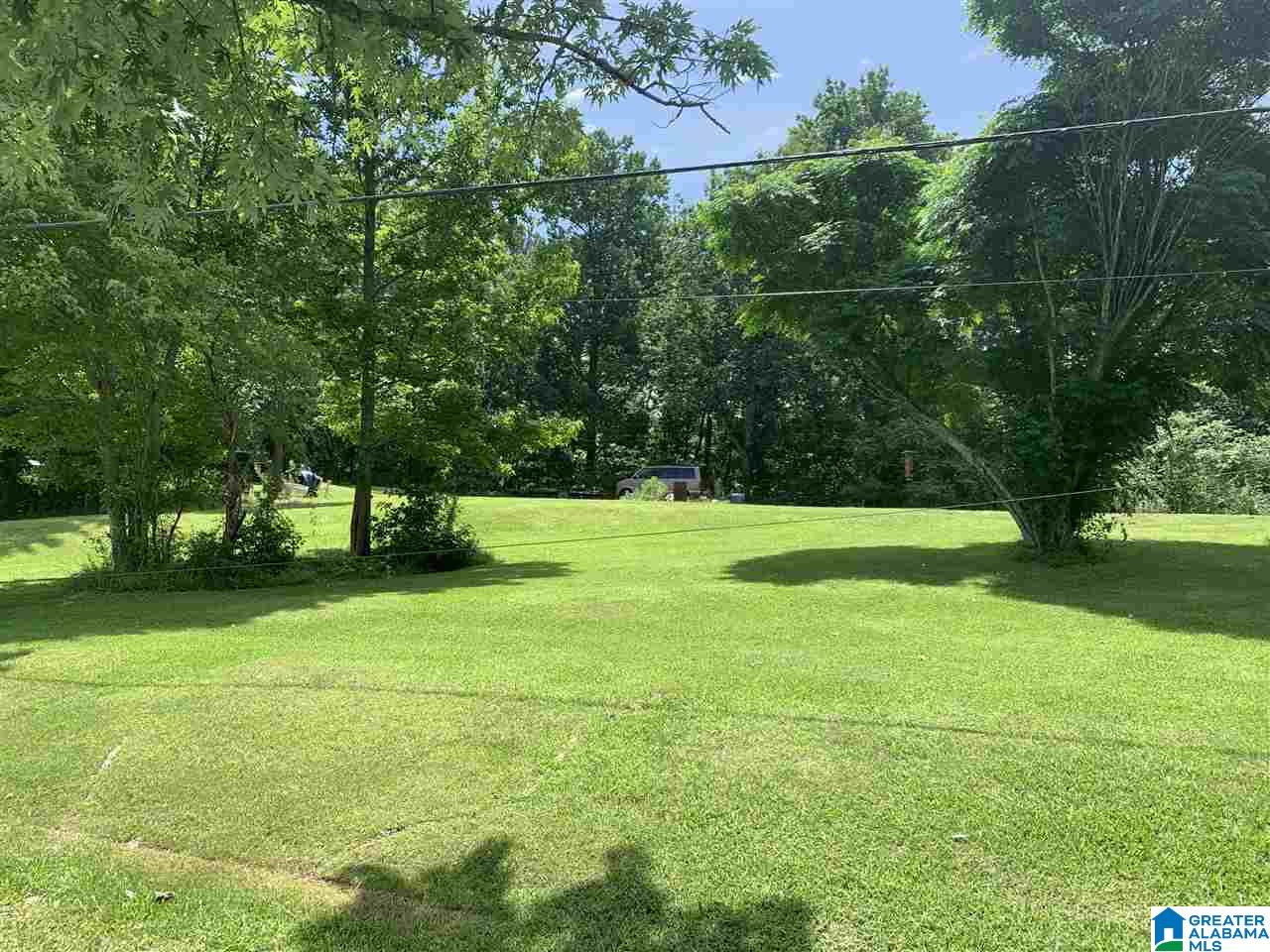 54 Sky Hawk Lane Oneonta, AL 35121 - Photo 12 of 14