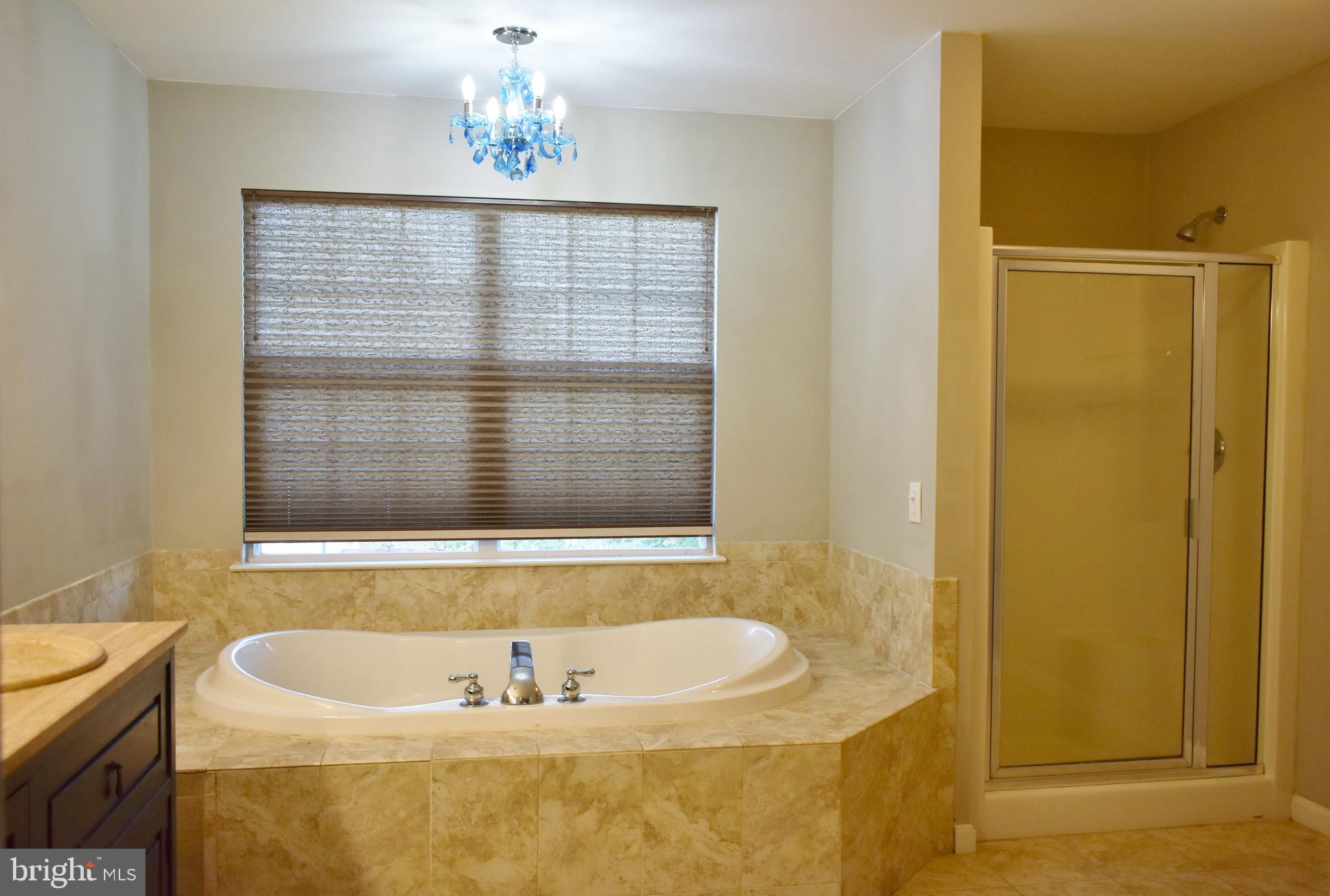 5942 Florey Road Hanover, MD 21076 - Photo 13 of 22 Soaking Tub & Shower
