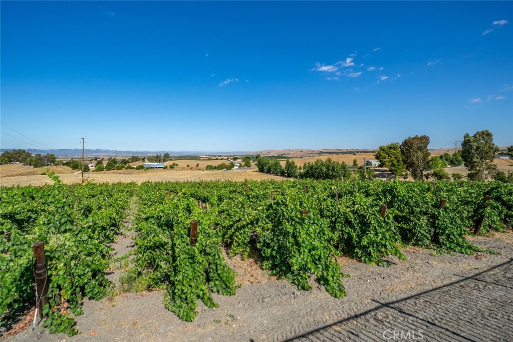 6172 Hawk Ridge Place San Miguel, CA 93451 - Photo 17 of 74