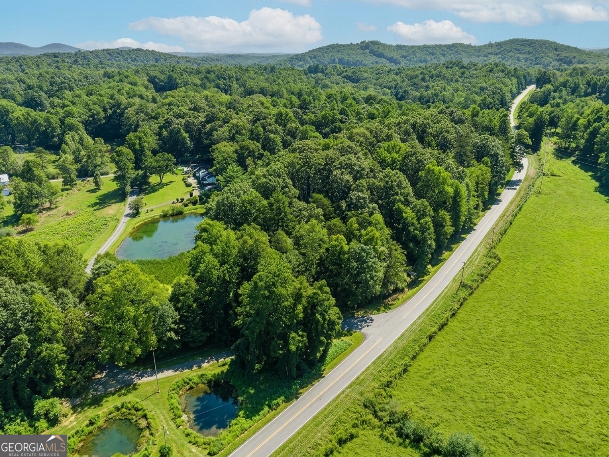 380 Guy Wimpy Road, Unit LOT 2 Dahlonega, GA 30533 - Photo 7 of 23
