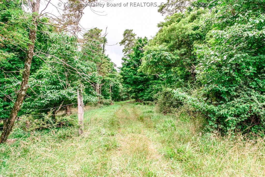 4335 Huff Road Cottageville, WV 25239 - Photo 23 of 30 Gallery Image 23
