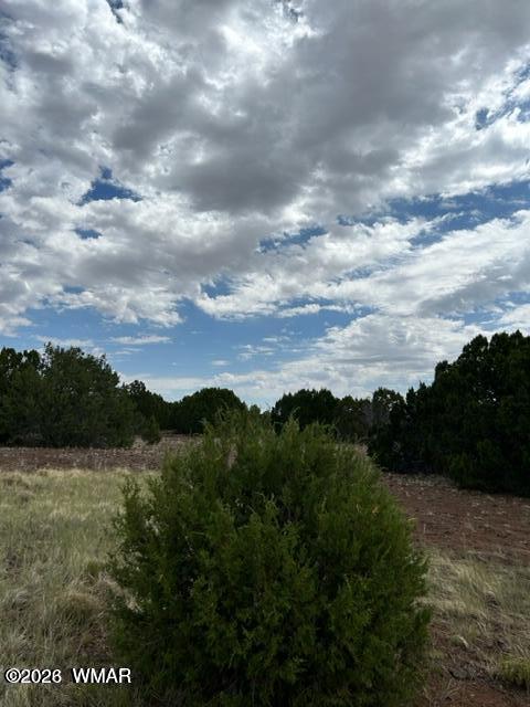 N3109 Rd Vernon Az 85940 Road Vernon, AZ 85940 - Photo 2 of 17