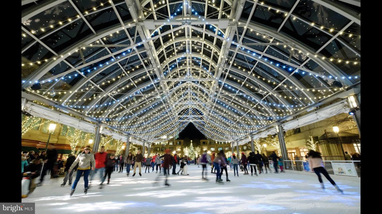 1272 Vintage Place Reston, VA 20194 - Photo 38 of 55 Reston Ice Rink