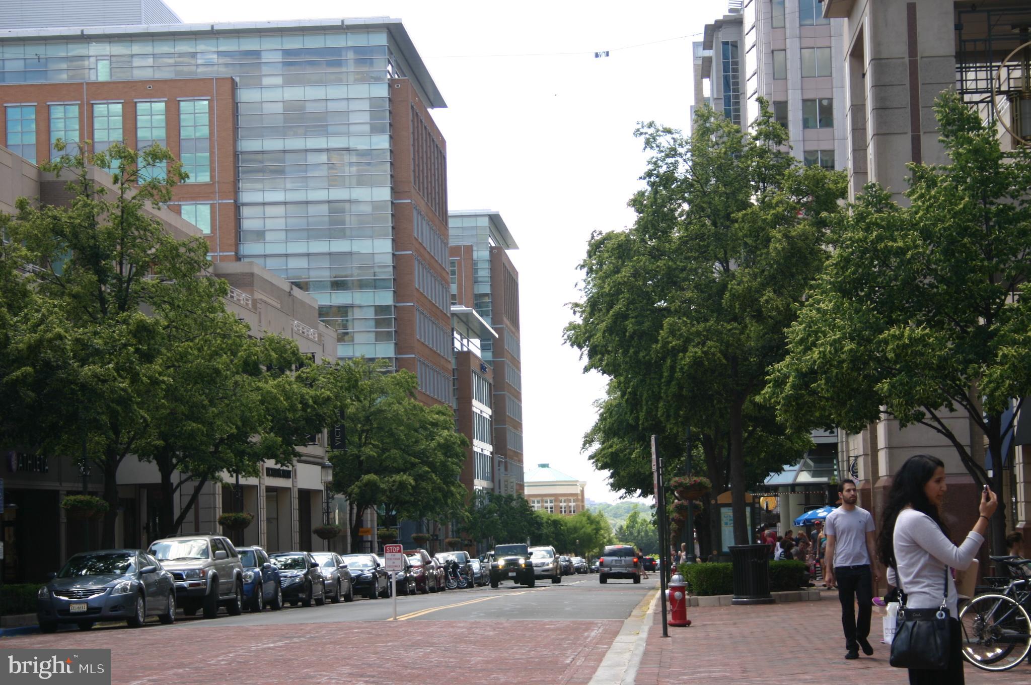 1272 Vintage Place Reston, VA 20194 - Photo 42 of 55 Reston Town Cneter