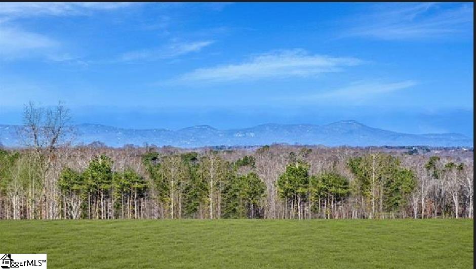 47 Sunriff Court Greer, SC 29651 - Photo 5 of 6