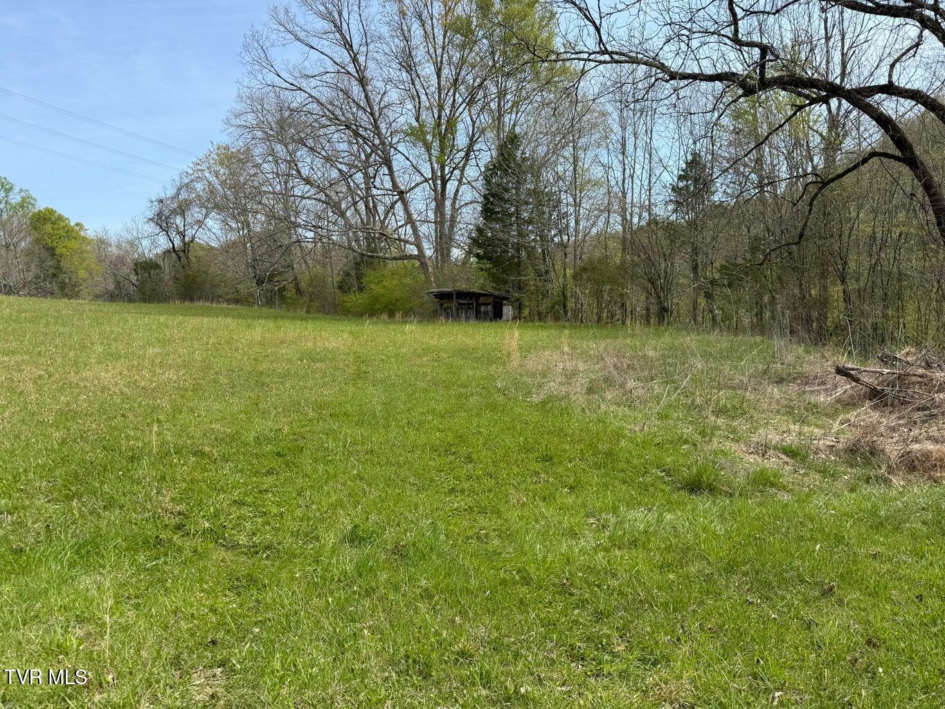 0 Longtown Road Bulls Gap, TN 37711 - Photo 19 of 34 20250417183852153202000000-o