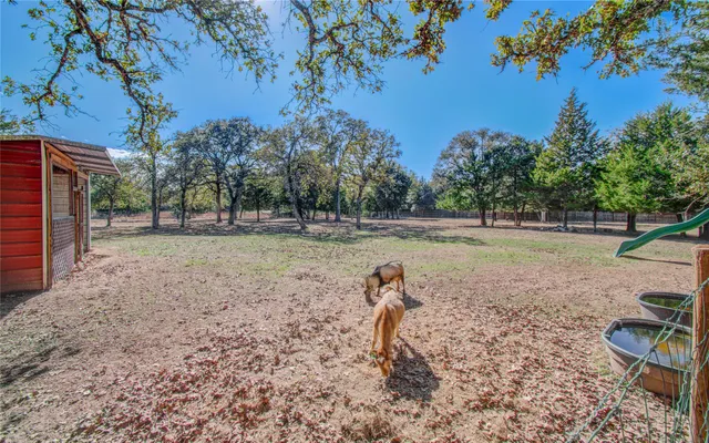 a view of a yard with a tree