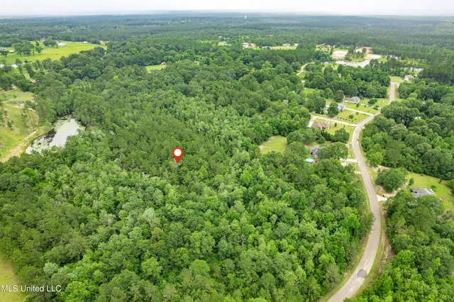 $44,900 | Lot 12 Jacob Michael Drive, Perkinston, MS 39573