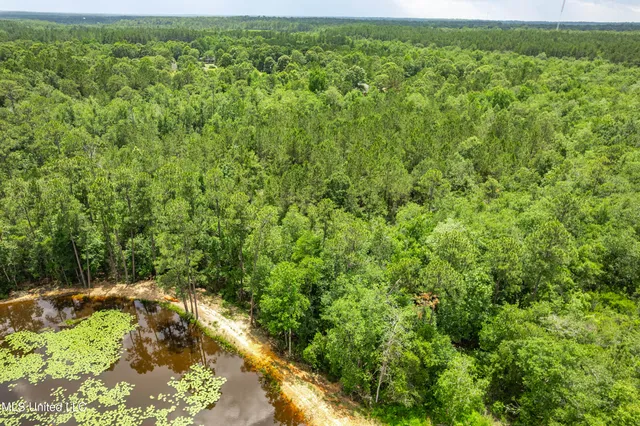 $44,900 | Lot 12 Jacob Michael Drive, Perkinston, MS 39573