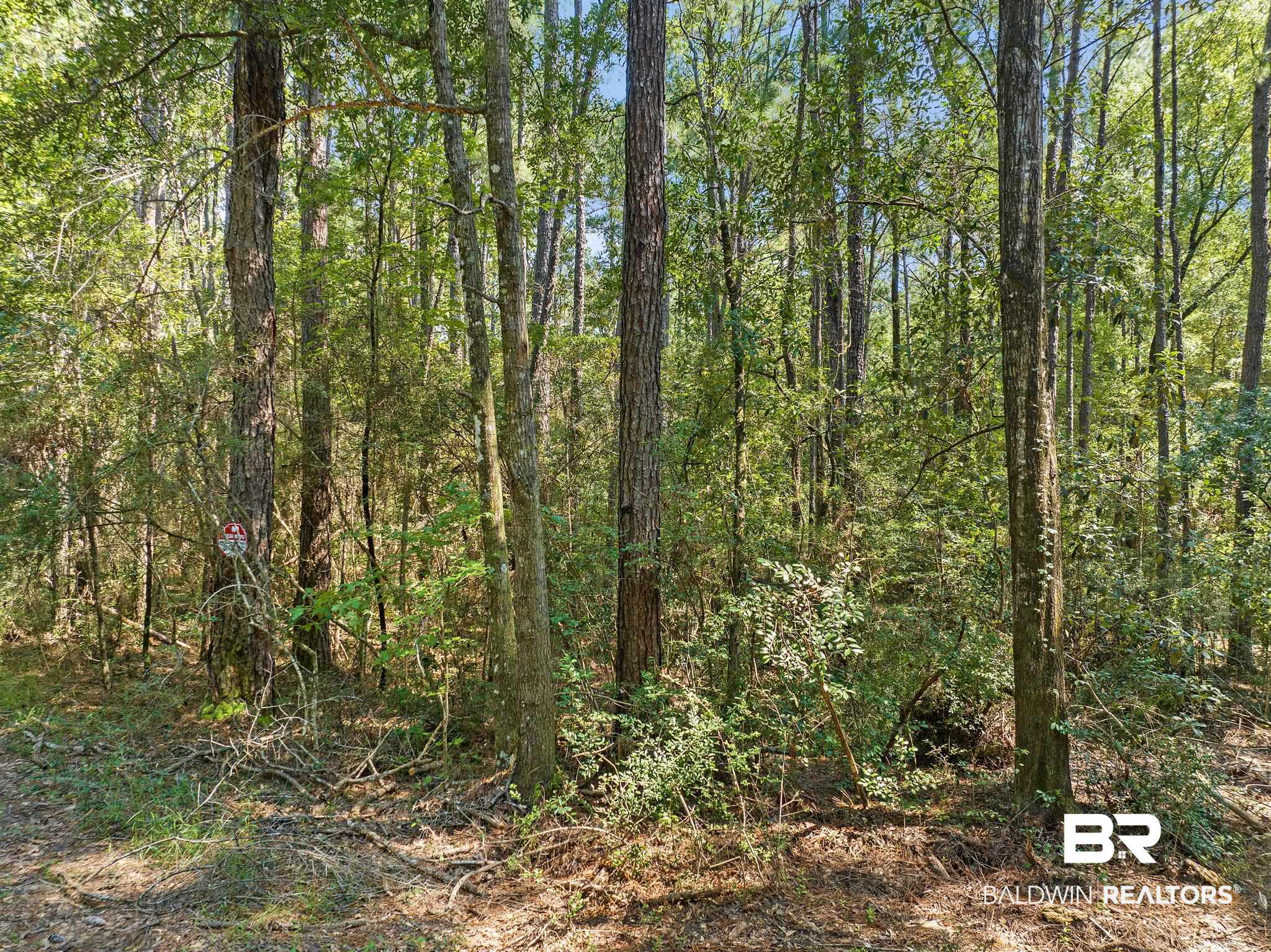 6917 Old Citronelle Road Eight Mile, AL 36613 - Photo 8 of 8