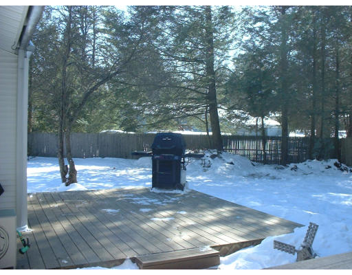 47 Ellendale Circle Springfield, MA 01128 - Photo 4 of 6 a view of a backyard