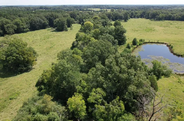 $323,000 | Tbd-a Cr 4037 Timpson Tx 75975, Timpson, TX 75975