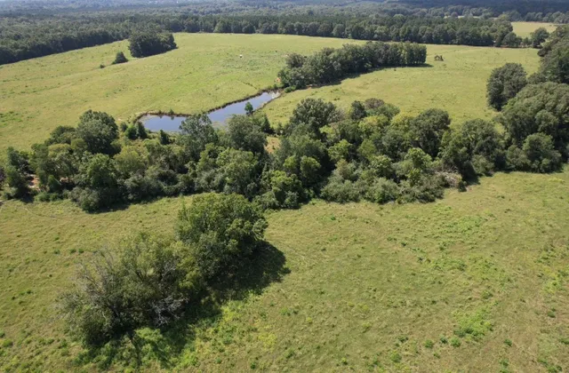 $323,000 | Tbd-a Cr 4037 Timpson Tx 75975, Timpson, TX 75975