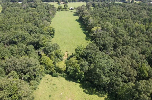 $323,000 | Tbd-a Cr 4037 Timpson Tx 75975, Timpson, TX 75975