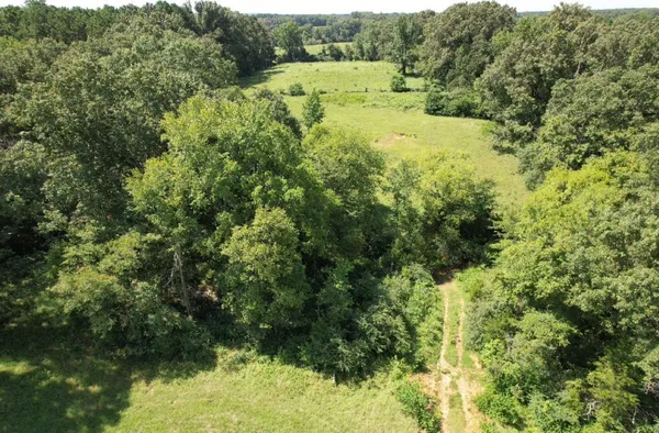 $323,000 | Tbd-a Cr 4037 Timpson Tx 75975, Timpson, TX 75975