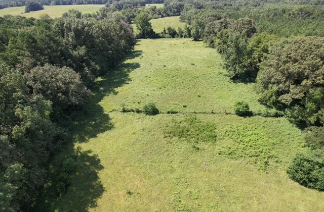 $323,000 | Tbd-a Cr 4037 Timpson Tx 75975, Timpson, TX 75975