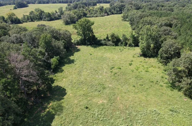 $323,000 | Tbd-a Cr 4037 Timpson Tx 75975, Timpson, TX 75975