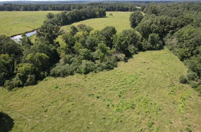 $323,000 | Tbd-a Cr 4037 Timpson Tx 75975, Timpson, TX 75975