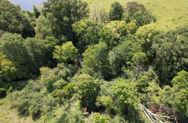 $323,000 | Tbd-a Cr 4037 Timpson Tx 75975, Timpson, TX 75975