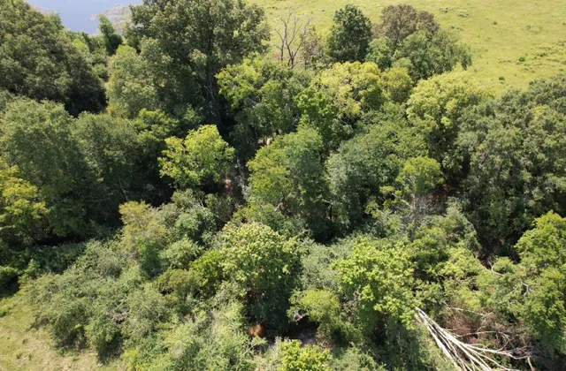 $323,000 | Tbd-a Cr 4037 Timpson Tx 75975, Timpson, TX 75975