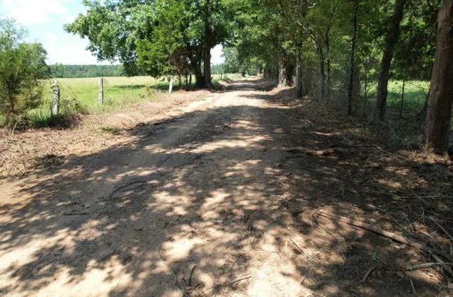 $323,000 | Tbd-a Cr 4037 Timpson Tx 75975, Timpson, TX 75975