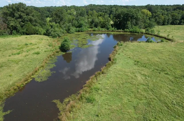 $323,000 | Tbd-a Cr 4037 Timpson Tx 75975, Timpson, TX 75975